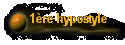 1re hypostyle