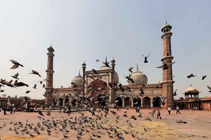Delhi12.jpg